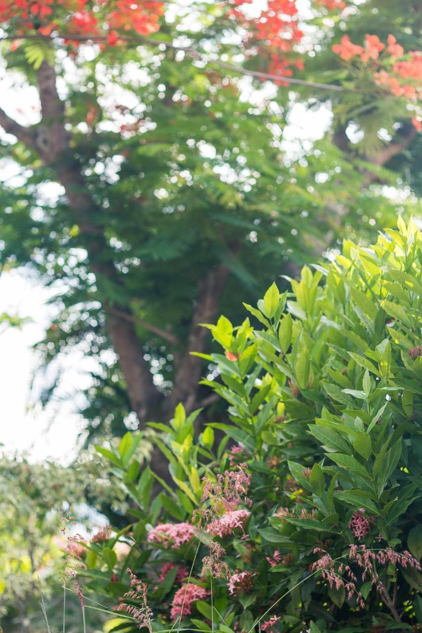 Pousada Solar Tropical Saquarema Buitenkant foto